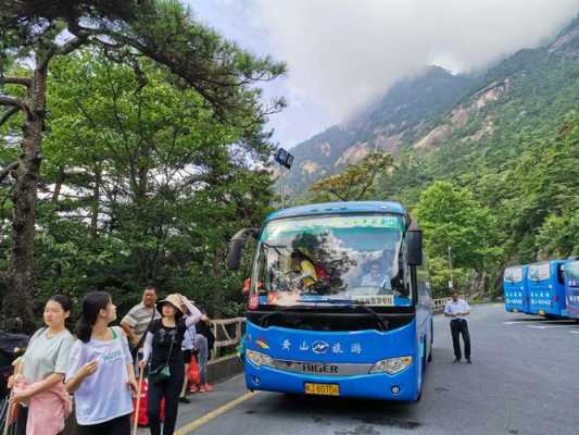 枣庄到黄山客车（枣庄到黄山客车多少钱）